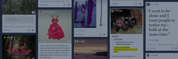 Why your business should stop ignoring Tumblr