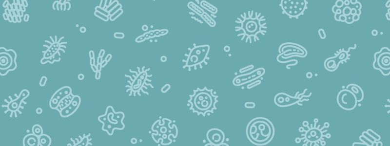 micro organisms, microbes