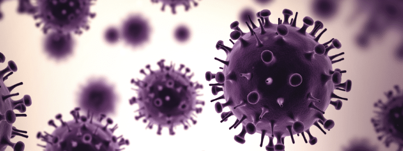H1N1, Flu Vaccine