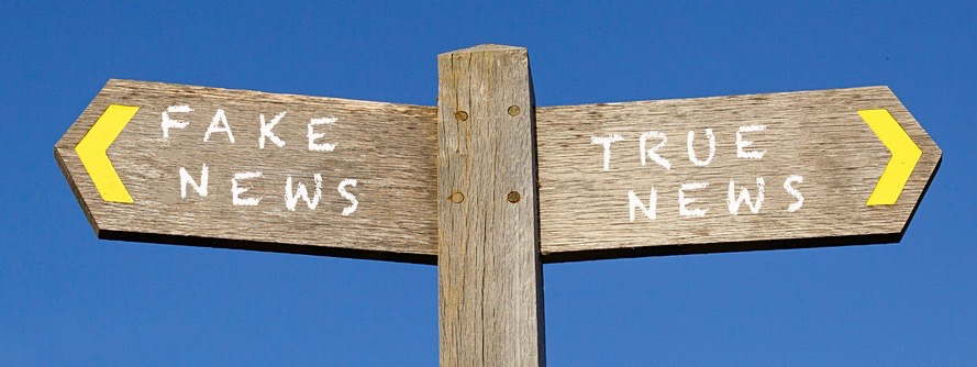 Fake and True News - Conceptual Signpost