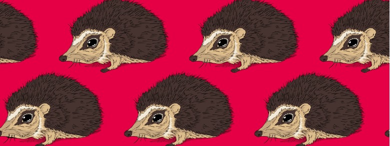 Little cartoon hedgehogs repeated on a pink background