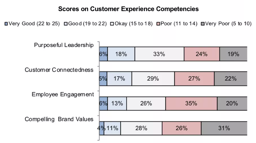 Why large companies struggle with CX—their efforts lack maturity