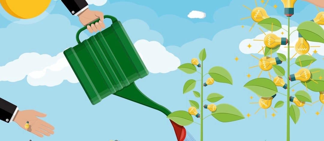 How brands can nurture and grow a positive reputation
