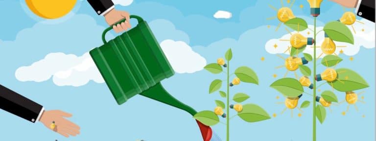 How brands can nurture and grow a positive reputation