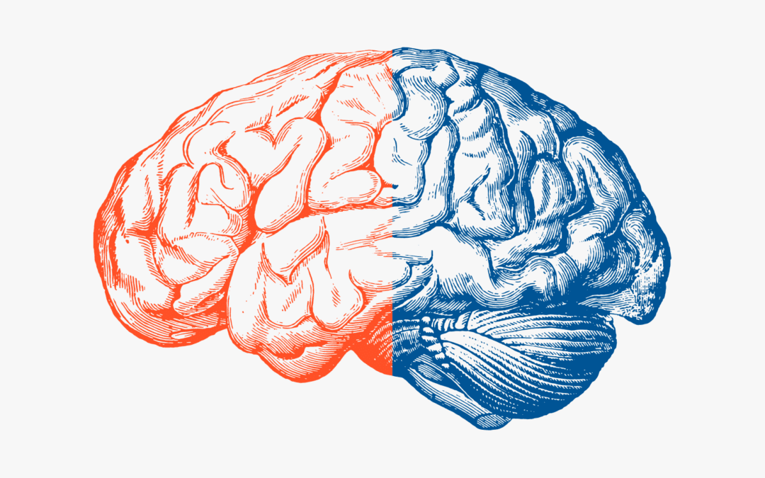 Orange and blue drawing of a brain