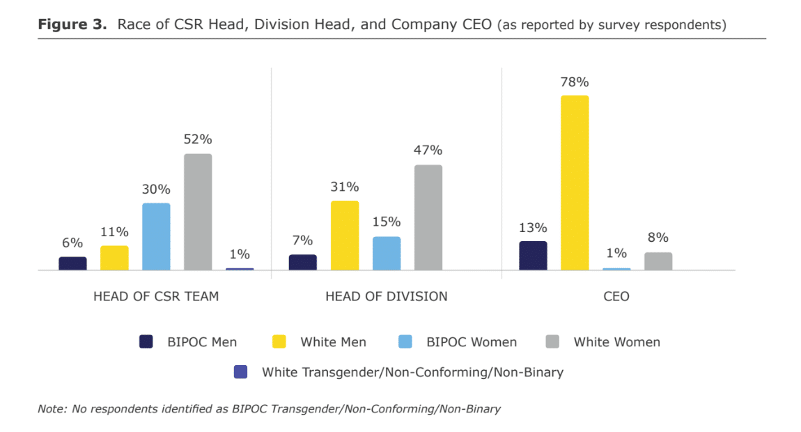 New research uncovers a lack of diversity in CSR field: Diversifying your social impact team