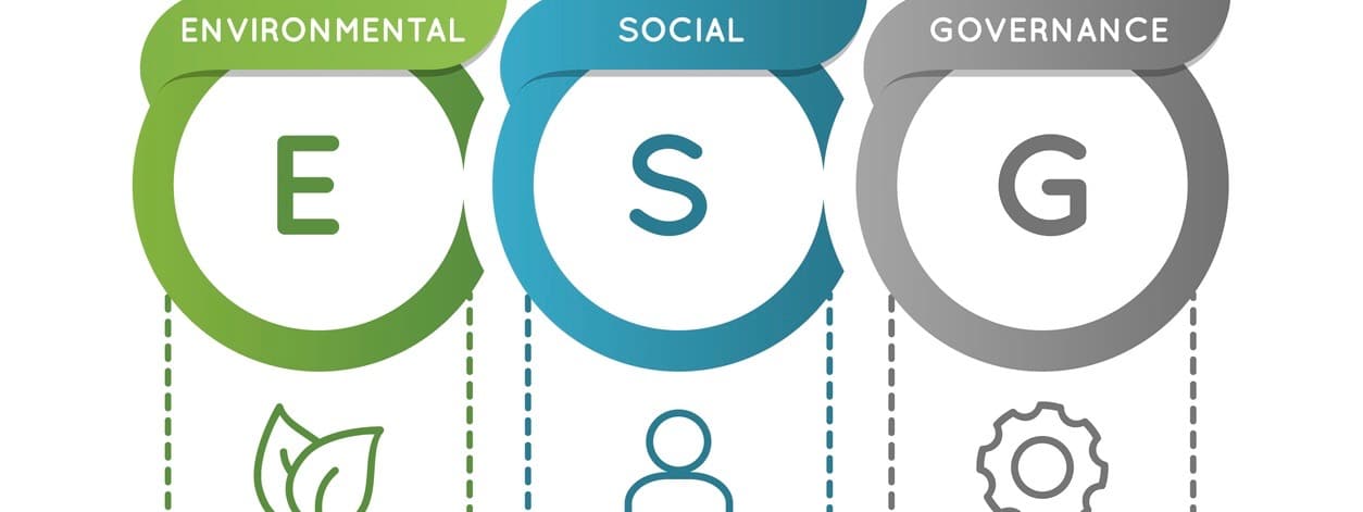 ESG Environmental Social Governance infographic. Business investment analysis model.