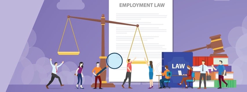 employment law for website design