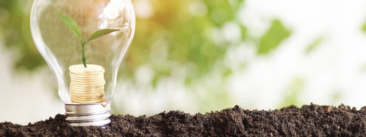 tree planting and growth up on money coins , stacked on light bulb with soil