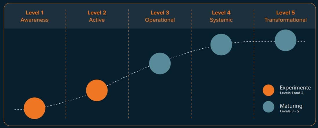 Path to AI Maturity