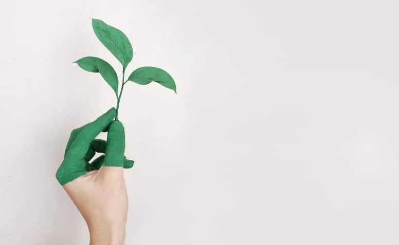 eco-friendly practices