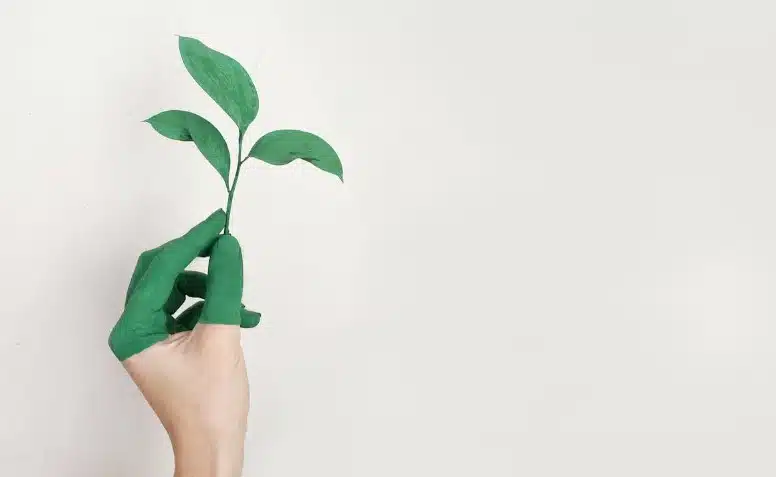 eco-friendly practices