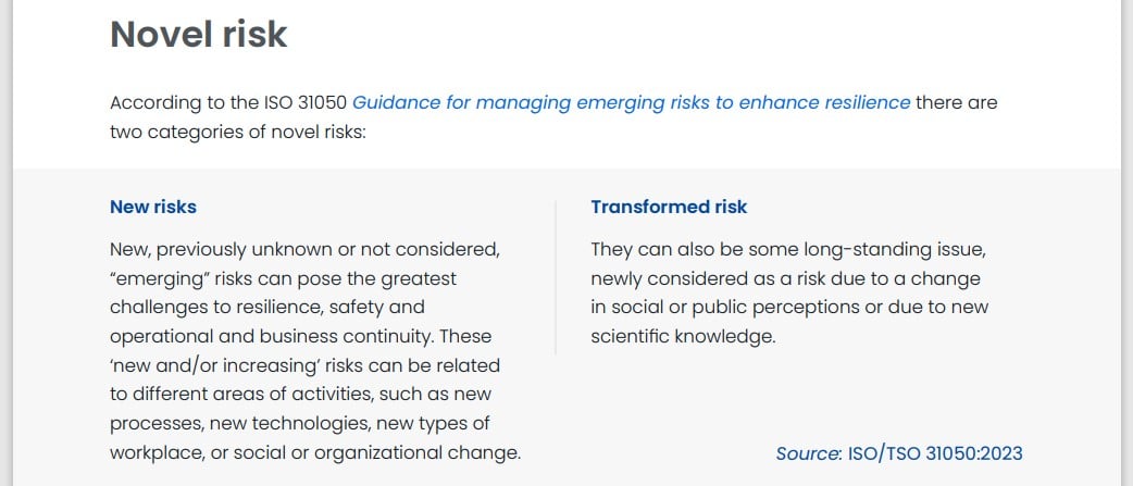 risk management