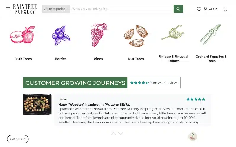 website content