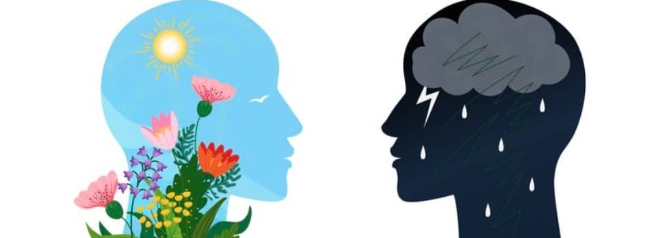 A guide to crisis communication for upholding mental health privacy